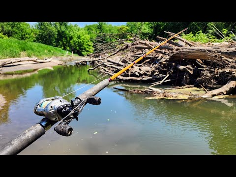 Fishing a TINY URBAN STREAM!! (Bait fishing)