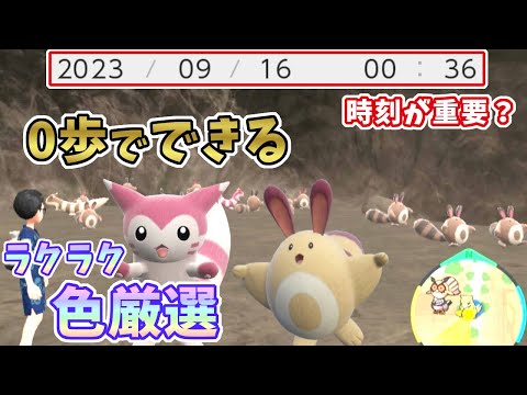 【ポケモンSV】オタチ・オオタチの色違い厳選解説！画面固定0歩で簡単色違いGET！[ゼロの秘宝・碧の仮面]