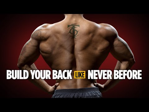 Build Your Back Like Never Before