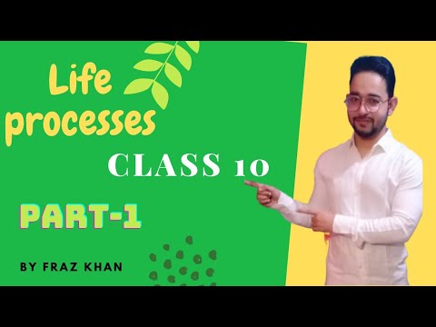 life processes class10 science biology in english state syllabus || cbse || By Fraz Khan