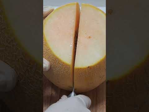 How To Cut Melon / Cantaloupe #shorts #melon #fruitcutting #food #fruit