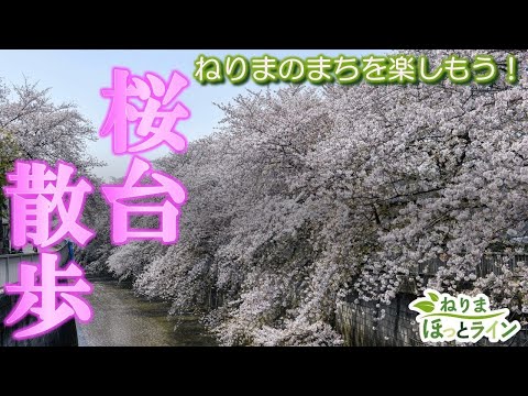 ねりまほっとライン（ねりまのまちを楽しもう！～桜台散歩～）令和6年4月号