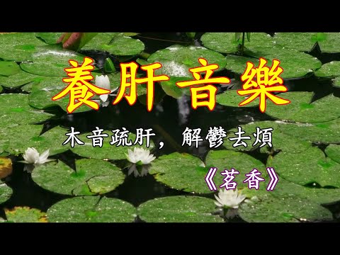 五音療疾｜木音疏肝，解鬱去煩，葫蘆絲《茗香》養眼悅耳！