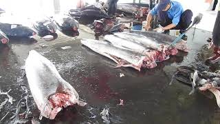 taiwan seafood-yellowfin tuna and sword fish cut skills