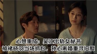 心想事成：吳江出軌女秘書，被褚曉羽當場抓包，孫心離婚重尋舊愛