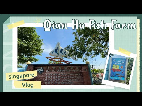 Let's explore Singapore Qian Hu Fish Farm~~