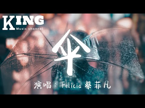 伞-Felicia 蔡菲凡【我终于明白你不是我的雨伞，只会在睛天才给我陪伴，当我的心蒸发成云慢慢消散，你却连看都不想再看。】［动态歌词］