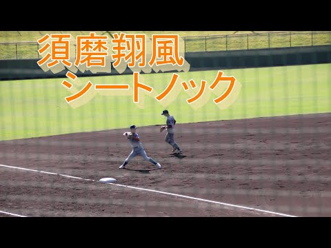 須磨翔風　試合前のシートノック【2022秋】