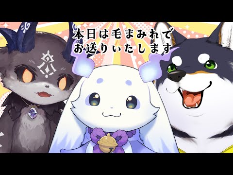 【＃ふらっふぃい】本日は毛まみれでお送りいたします。【ルンルン/でびでび・でびる/黒井しば】