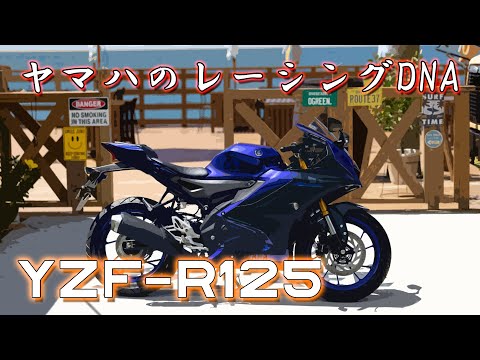 ヤマハ YZF-R125 フル加速！125ccのスポーツバイクで体感するパワー【ベタ捻り】YAMAHA