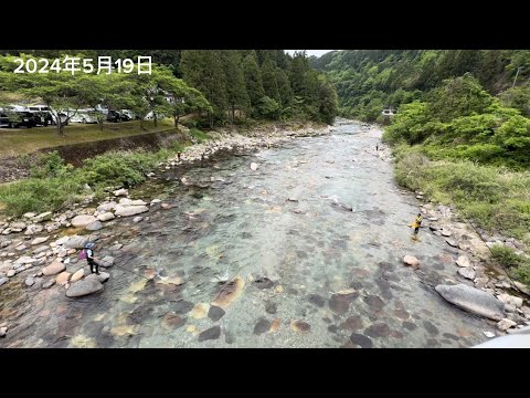 付知川 友釣り解禁2日目 〜島田橋周辺の様子〜　2024.5.19