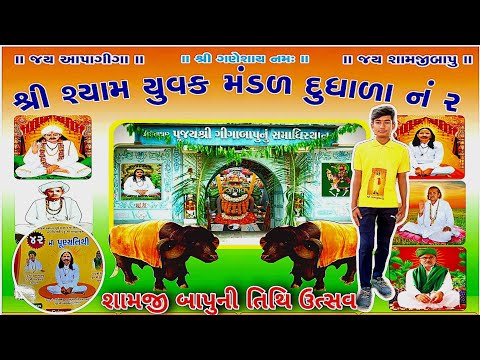 શામજી બાપુની તિથી ઉત્સવ || શ્રી શ્યામ યુવક મંડળ દુધાળા નં 2 || 42 મી પૂણ્યતિથી #shyamji #bapu #tithi