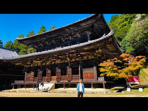 書写山円教寺 | Mount Shosha Engyoji Tempe #MtShosha #ShoshaMountain #Himeji #Himeji