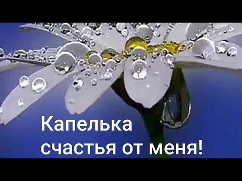 Красивое видео с Добрым Утром и шикарная музыка❤️ Пожелания Доброго утра и Прекрасного нового дня ❤️