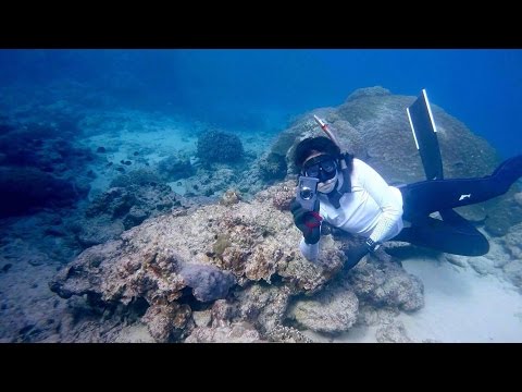 Freediving - Beautiful coral! Amami, February 2017