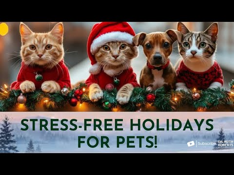 Calm Your Anxious Pet—Stress-Free Holidays Start Here!