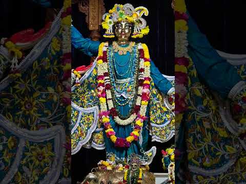 ❤️ Today's darshan of narasimha Deb, Radha Madhav, panchatatwa divine ♥️ 1/1/2025 #mayapuriskcon