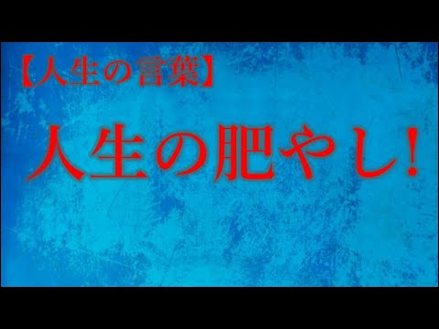 人生のことば　人生の肥やし!