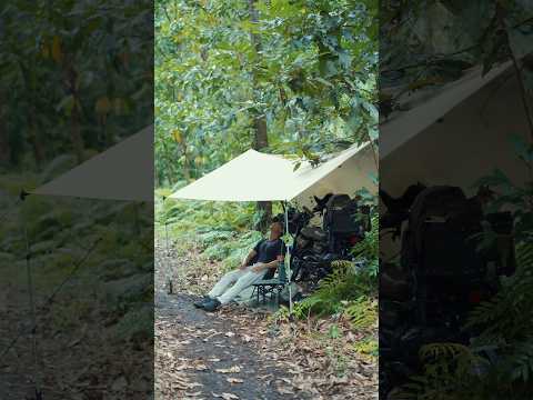 Motocamping with Cat #asmr #campingwithcats #motocamping #yamahapg1 #chill