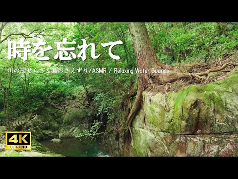 時を忘れて 『野河内渓谷』 【自然音,ASMR,4K,relaxing  nature sounds】