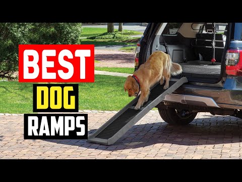 ✅Top 5 Best Dog Ramps for Senior in 2024