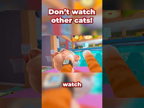 Don’t Watch Other Cats! #vr #funnyvr