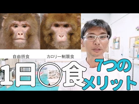 1日1食抜くだけで得られる効果が凄すぎた！サーチュイン遺伝子のスイッチを入れて長寿で頭も良くなりお金も貯まる。ダイエットだけじゃない究極の若返りの薬を得る方法