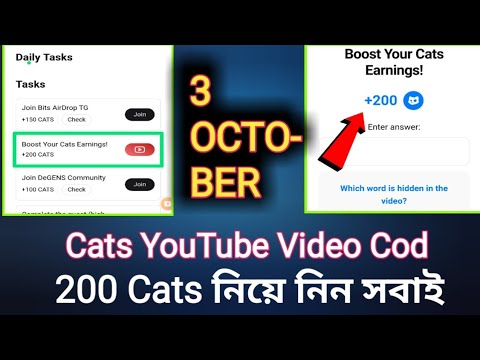 3 October cats video cod | boost your cats earnings | cats daily tasks today