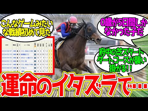 この子は『プリーミー』← 馬名の意味「早産まれ」という「うわっしくじった！」感…に対するみんなの反応！【競馬 の反応集】