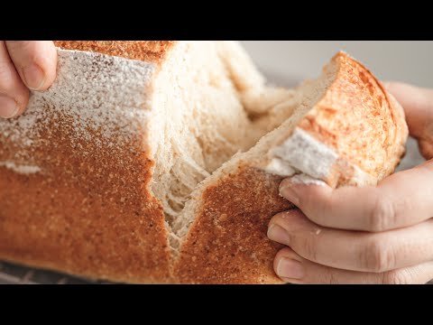 4 Tips on Making Delicious Wheat Germ Bread! (No Egg)