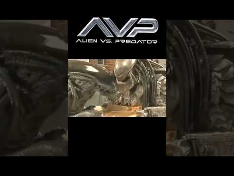 #avp #alien #predator #movie #funny #trending #shorts #short #shortvideo #viralvideo