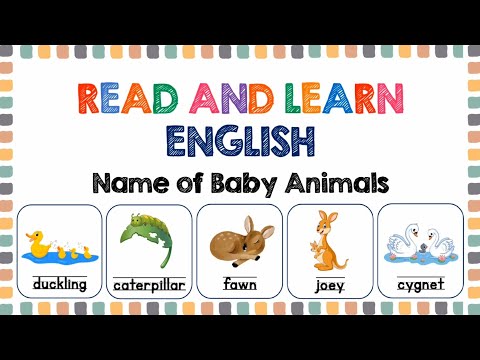 Names of Baby Animals | Reading for Grade 1, Grade 2, and Grade 3 | English Words for Kids