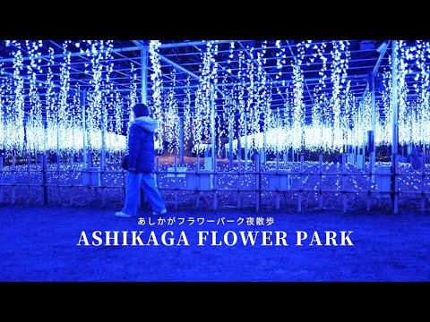 [Japan's three major illuminations] Ashikaga Flower Park has no flowers but is very gorgeous!