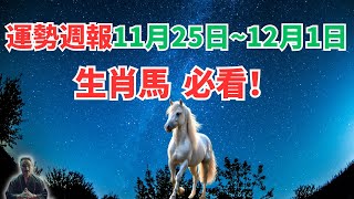 命理測算：屬馬人一週運勢（11月25日至12月1日），內含吉凶日，一定要看！ #生肖馬2024年運程 #生肖馬2024年運勢 #屬馬人2024年運程 #屬馬人2024年運勢