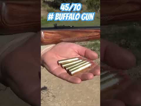 45/70 Buffalo Gun! #ozziereviews #gun #shooting #rifle #4570 #buffalo #hunting #biggame #firearms