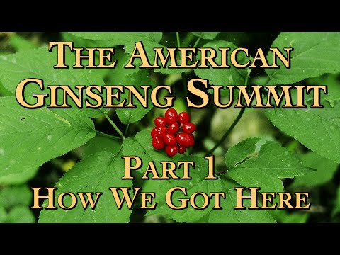 The American Ginseng Summit Part 1 How We Got Here