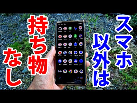 Is It Possible To Travel In Japan Only With My PHONE?