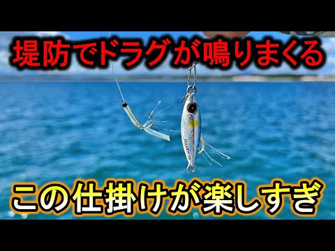 青物爆釣に尺アジも…堤防からドラグ爆鳴りのライトジグサビキが楽しすぎる。