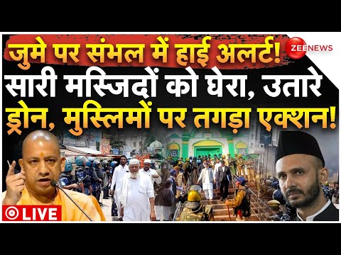 CM Yogi Action On Sambhal Muslims LIVE: जुमे पर संभल में हाई अलर्ट! सारी मस्जिदों को घेरा!