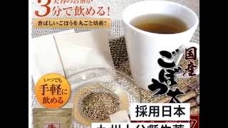 Kyushu Burdock Tea 九州牛蒡茶