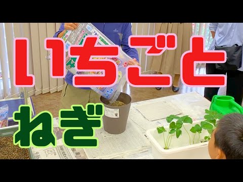 JA城西【園芸講習】いちごとネギの栽培のコツ学んでみた