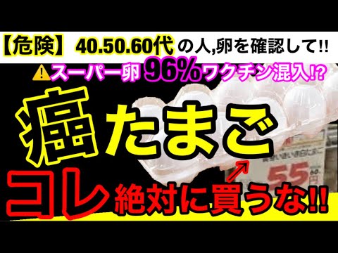 【超危険】スーパーで売られている卵が危険・怖すぎる！鶏と闇育て方とおすすめ安全たまご３選！#無添加#無添加食品#添加物#バイヤー