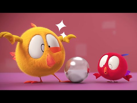 Chicky & Pollo | Where's Chicky? | Cartoon Collection in English for Kids | New episodes HD