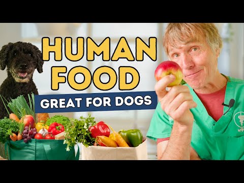 Seven Lesser-Known Human Foods That Are Safe, Effective, and Healthy for Dogs