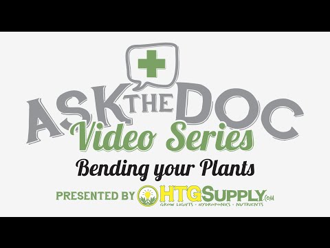 Bending Your Plants: Ask The Doc