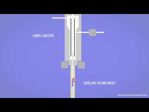 GC - Gas Chromatography - How Samples Move Through Capillary Column Animation HD