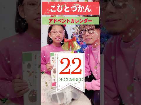 【こびとづかん 🎄アドベントカレンダー】12/22 #カクレモモジリ#adventcalendar