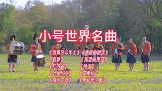 小号世界名曲十首 嘹亮清脆高亢优美的旋律让人陶醉 放松解压治愈