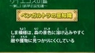 サイエンスの庭～楽しい科学の豆知識　（６）動物シリーズ6～ベンガルトラ