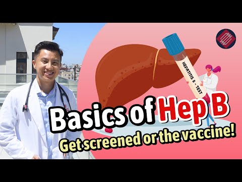 The Basics on Chronic Hepatitis B: What You Need to Know